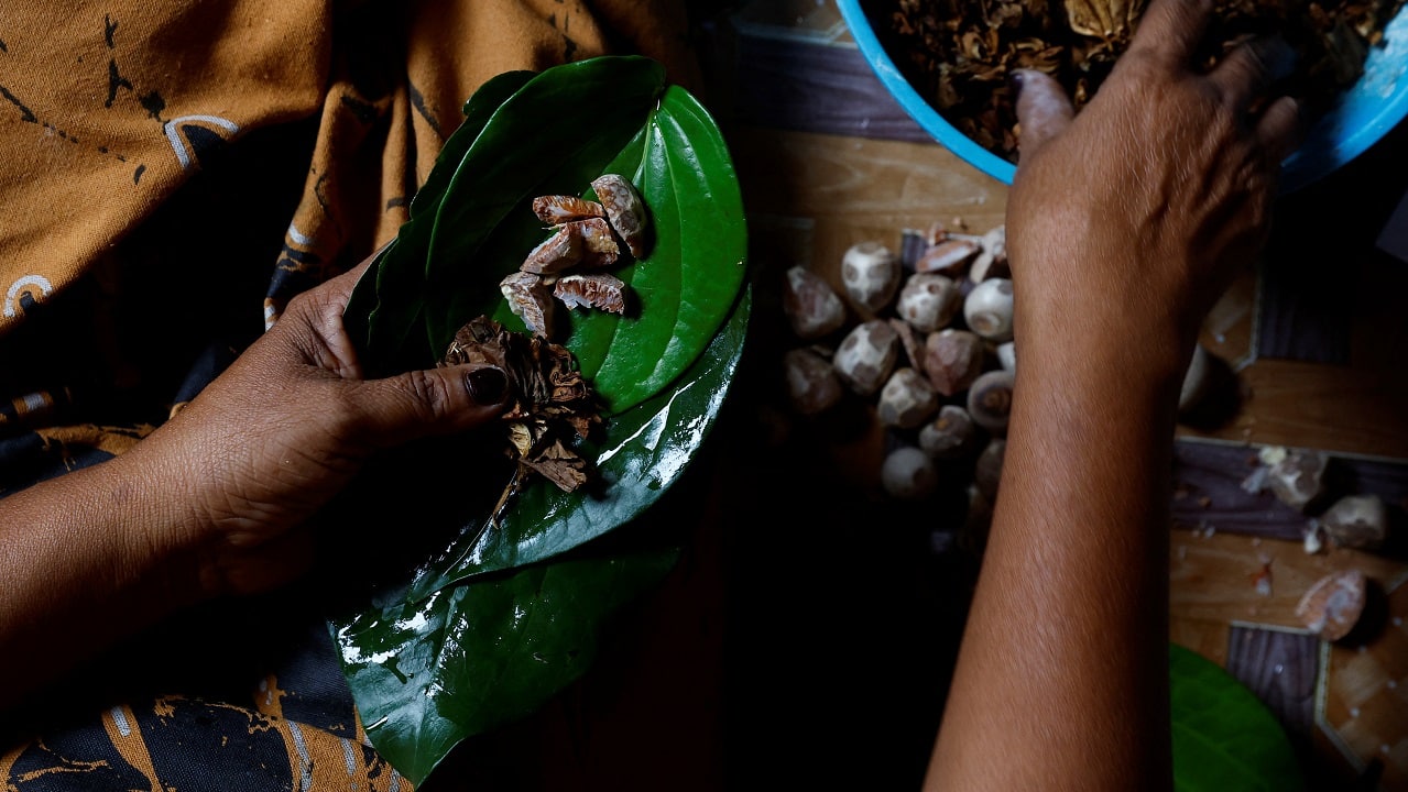 GST Council likely to approve GoM report on plugging tax leakages for pan masala, chewing tobacco: Sources