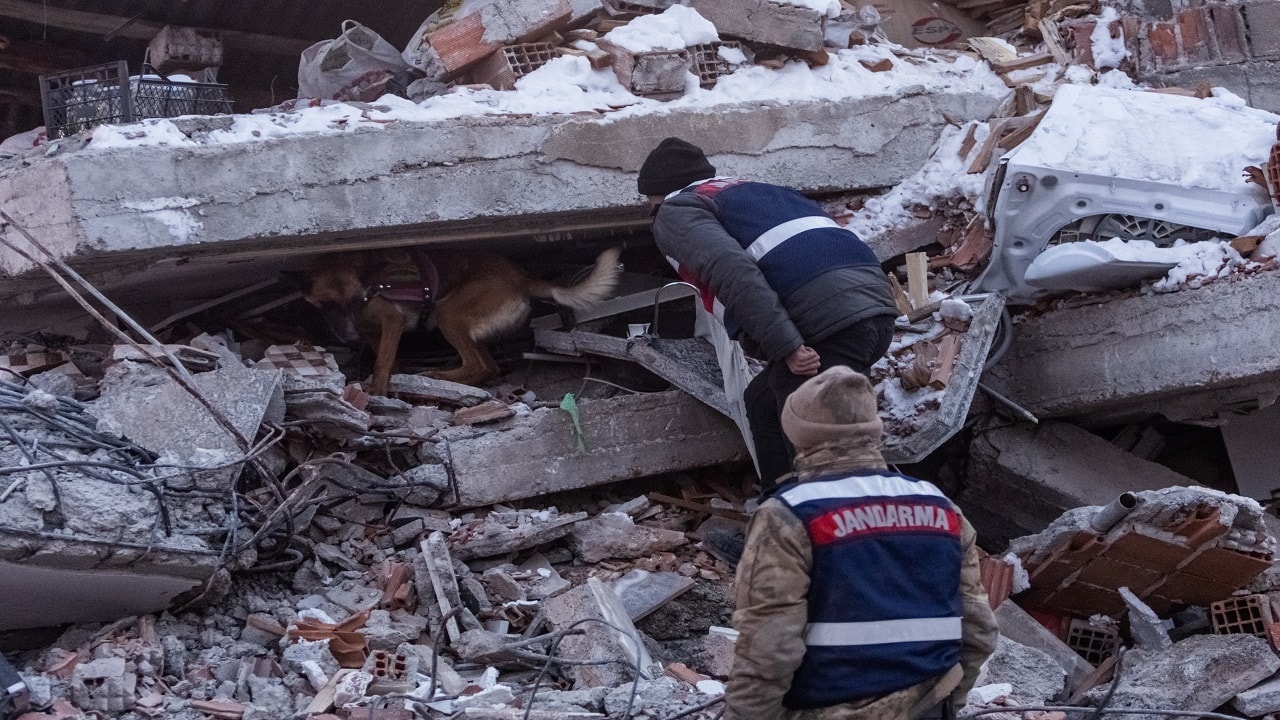 Rescue ops going strong: Rescue workers and a search dog look for people on the remains of a destroyed building in the aftermath of the quake | Image source: Reuters Rescue ops going strong: Rescue workers and a search dog look for people on the remains of a destroyed building in the aftermath of the quake | Image source: Reuters
