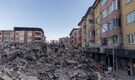 Turkiye quake revives debate over nuclear plant being built