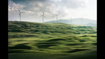 Representational image. (Photo: Appolinary Kalashnikova via Unsplash)