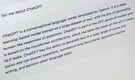 How should you talk to ChatGPT? A user’s guide