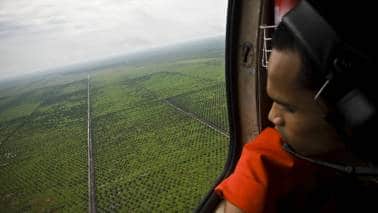 Fossil fuel emissions may peak in two years but the fight against climate change is just beginning Fossil fuel emissions may peak in two years but the fight against climate change is just beginning