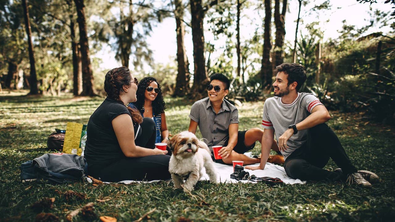 How to give your Sunday picnics a delish makeover, for a price