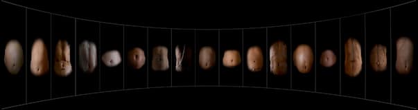 Ranbir Kaleka's 'Breath' (Photo by Faizal Khan)