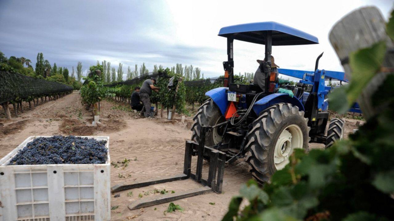 In 2022, that was down again to about 18 liters. In 1977, when consumption peaked, Argentines drank some 88 bottles each on average. The 2022 drop "will have a strong impact" on the industry, said Gonzalez. In addition, soaring inflation -- reaching 94.8 percent in 2022 -- is eroding Argentine purchasing power. (Source: AFP)