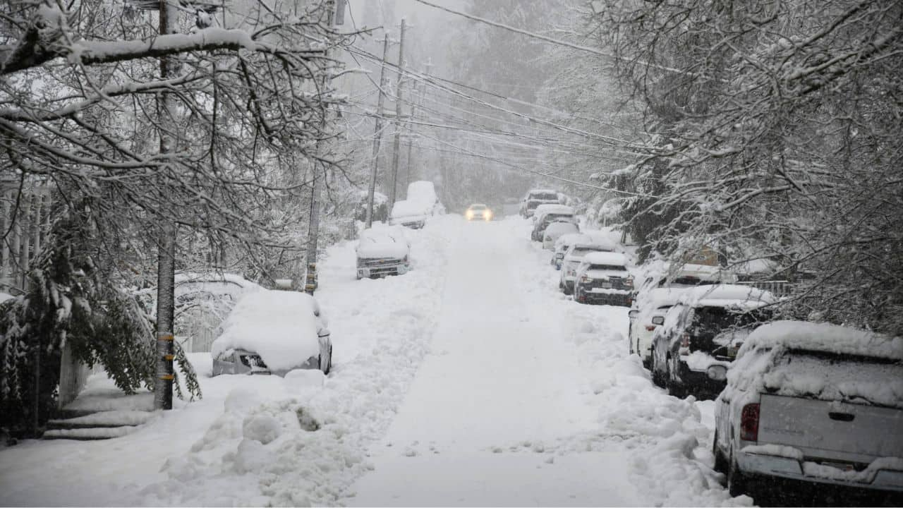 In Pics: California, beleaguered by earlier storms, gets fresh snow