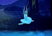 In Pics: Ukrainian ballerina uprooted by war flies high again in Swan Lake