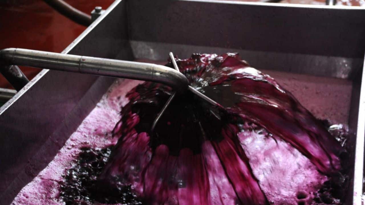 The country has just emerged from two good commercial wine years, linked directly to increased home consumption during the Covid-19 pandemic. The domestic market accounts for about 70 percent of Argentine wine sales, and in 2020 and 2021 reached some 20 or 21 liters per person per year. (Source: AFP)