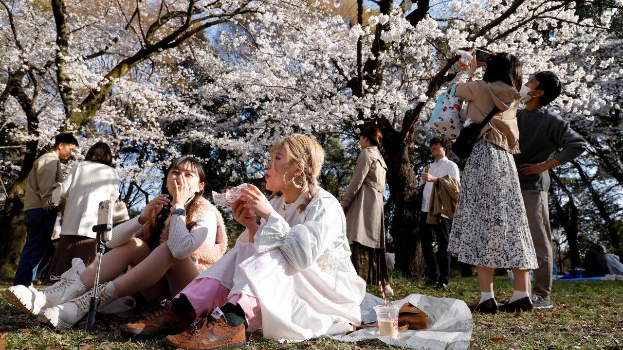 People enjoy cherry blossoms in Tokyo, Japan, March 20. (Source: Reuters) People enjoy cherry blossoms in Tokyo, Japan, March 20. (Source: Reuters)