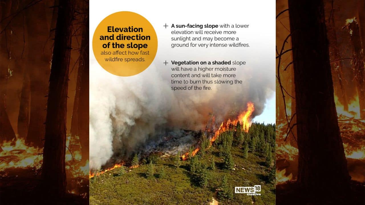 Wildland Fire On Maunakea'S East Slope: A Timeline Of Destruction - p2rpkk8