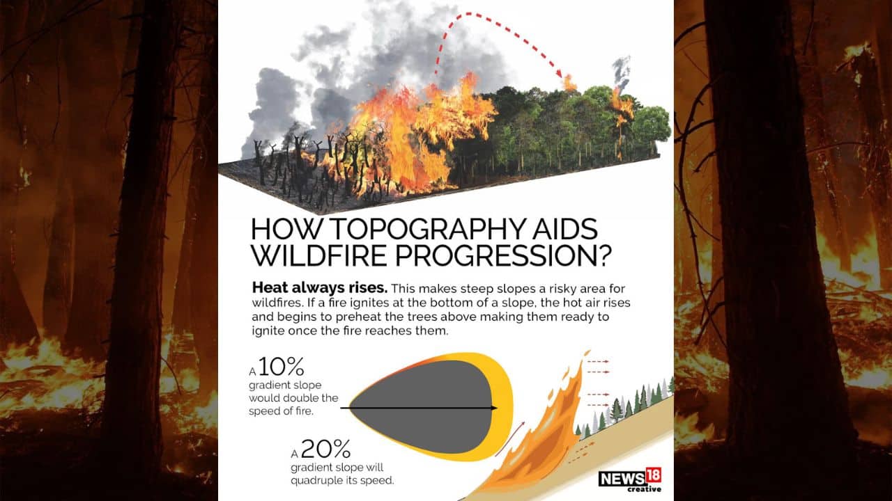 Explainer How Wildfire Starts And Spread All You Need To Know 4689