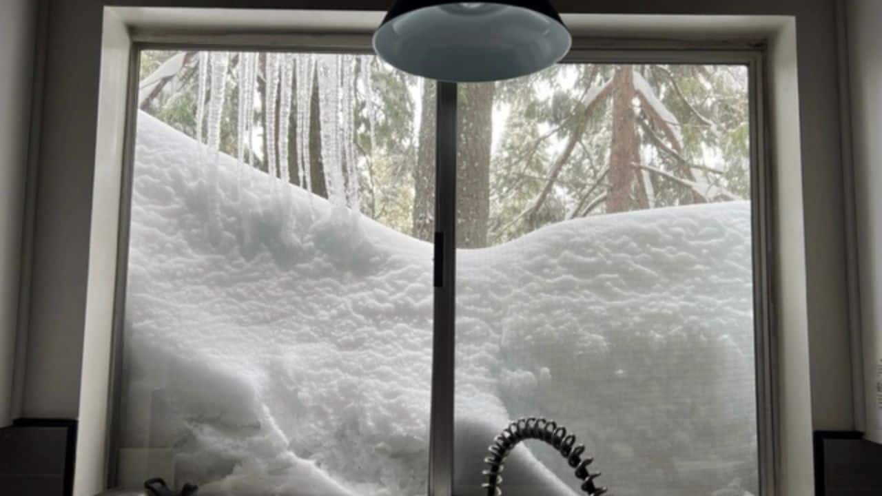 In Southern California, San Bernardino County declared a state of emergency as crews struggled to plow blocked roads. Jennifer Cobb and her husband, vacationing in the San Bernardino Mountains, found themselves trapped for a week by a relentless series of storms. “We hear the phantom sounds of plows, but they never come,” said Cobb, 49. “Being stuck up here in this beautiful place shouldn’t be awful, but it is.” (Image: AP) In Southern California, San Bernardino County declared a state of emergency as crews struggled to plow blocked roads. Jennifer Cobb and her husband, vacationing in the San Bernardino Mountains, found themselves trapped for a week by a relentless series of storms. “We hear the phantom sounds of plows, but they never come,” said Cobb, 49. “Being stuck up here in this beautiful place shouldn’t be awful, but it is.” (Image: AP)