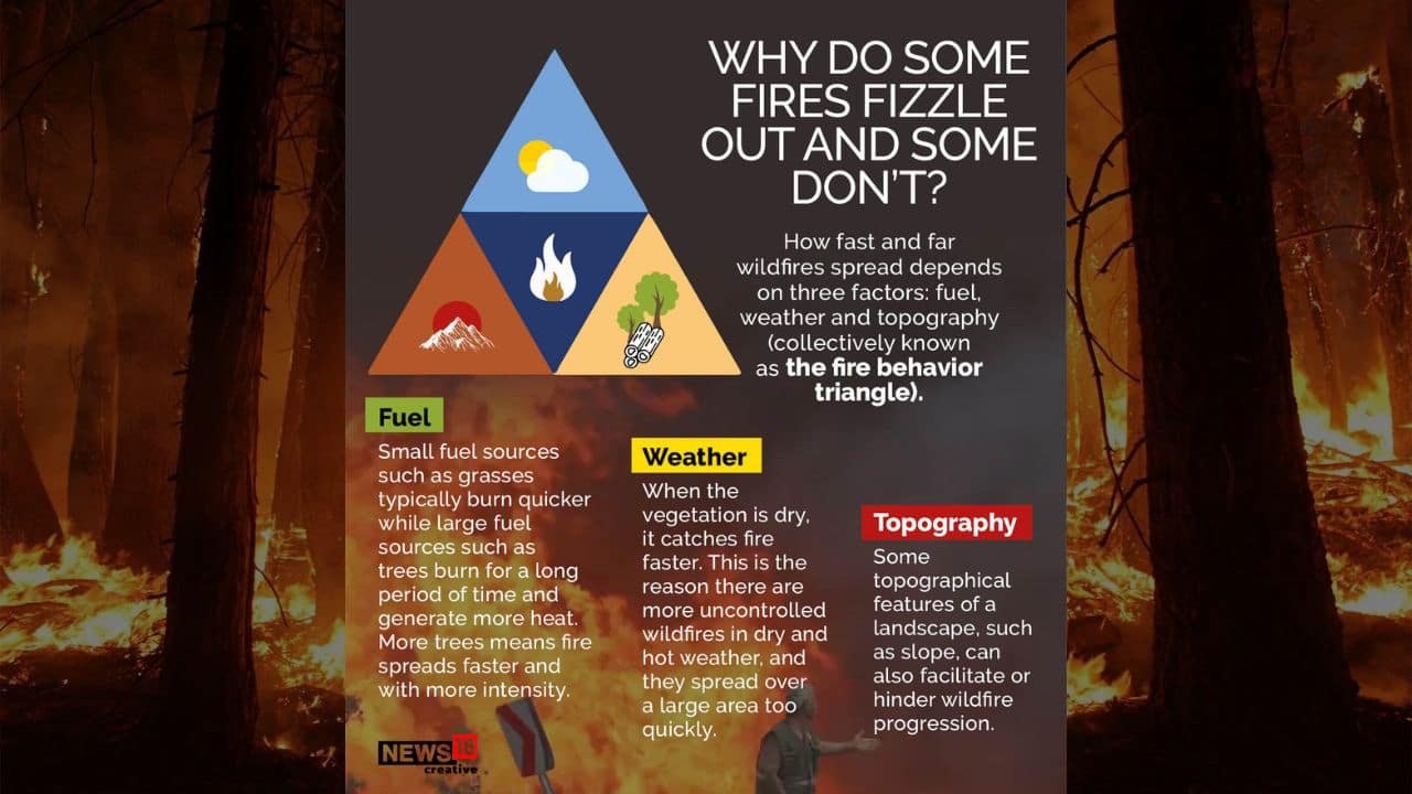 Explainer: How wildfire starts and spread; all you need to know