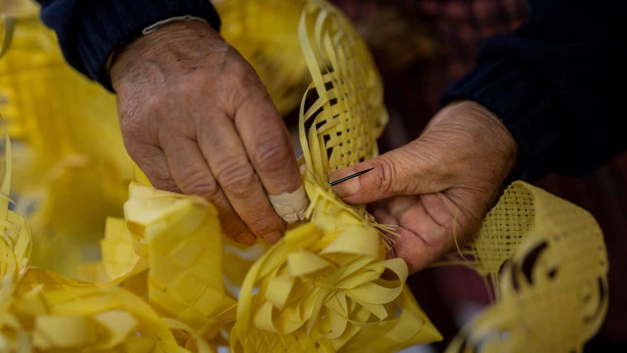 Elche traditionally sends such bouquets to public figures. This year, the recipients included Pope Francis and Spain's Queen Letizia. Serrano's family workshop stretches back over more than four generations and is one of five family-based palm leaf outfits in the city. (Source: AP)
