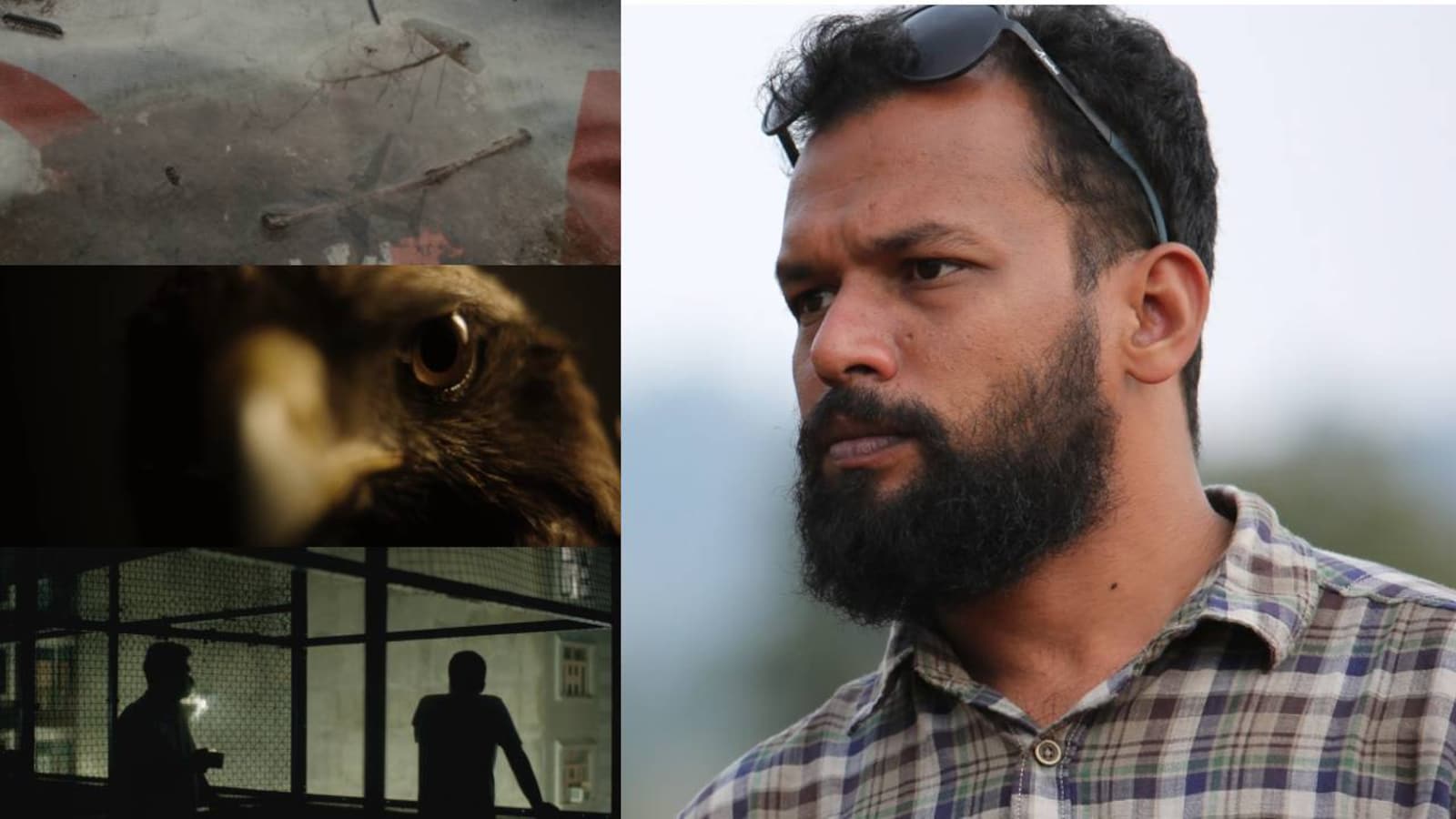All That Breathes' co-cinematographer Riju Das: 'Shaunak, the editors were  three kites hovering over a landfill of footages, carefully choosing'