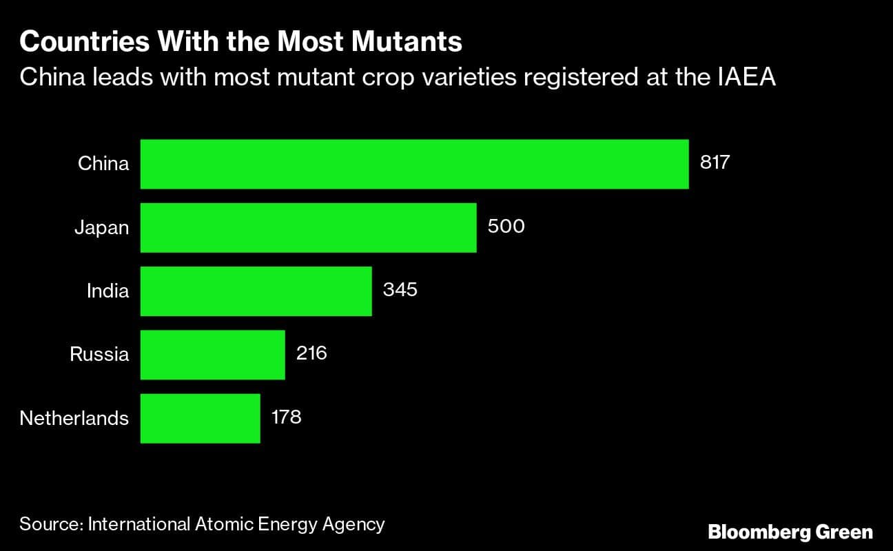 Countries With the Most Mutants | China leads with most mutant crop varieties registered at the IAEA