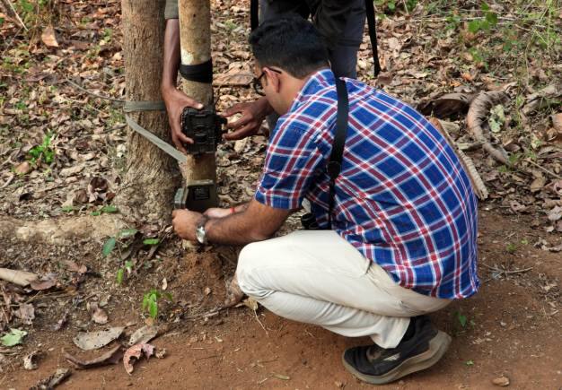 Plant Life Foundation, Goa, uses camera trapping to document the number of animals in the area. (Photo by Bindu Gopal Rao)