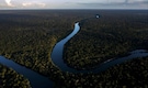 Brazil's Amazon rainforest faces a severe drought that may affect around 500,000 people