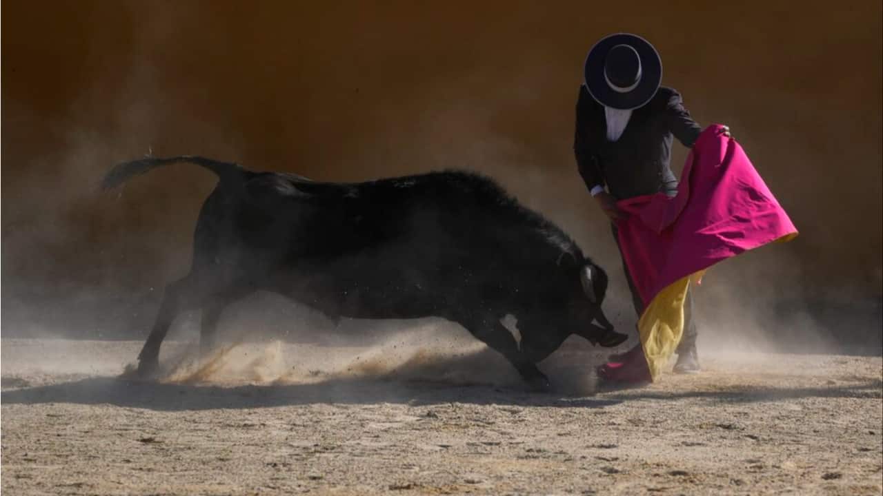 History rhymes for Nifty as analysts see the index at 18,900 in this leg of rally History rhymes for Nifty as analysts see the index at 18,900 in this leg of rally