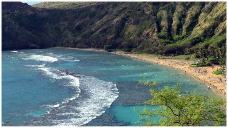 Couple allegedly abandoned in ocean by tour company on their honeymoon ...