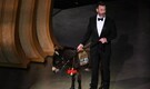 Cocaine bear to donkey onstage: 5 viral moments from Oscars 2023