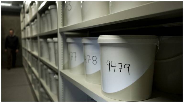 Preserved in formalin, they are stored in large white buckets labelled with numbers. 