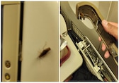 Cockroaches, broken seats on Air India New York-Delhi flight, UN official tweets pics