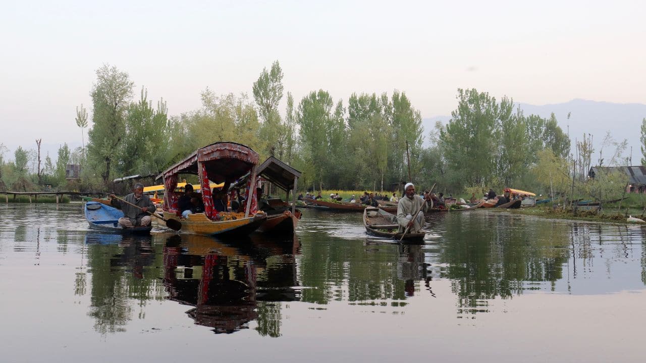 Kashmir's wetlands are shrinking fast. Dal Lake is just one of them