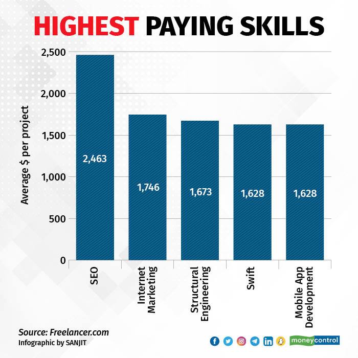 SEO skills earn the most in freelance projects: Report