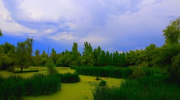 Industrialists see investment opportunity in J&K post abrogation of Article 370
