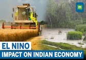 Explained: El Nino And Its Impact On The Indian Economy | Agriculture &amp; Commodities
