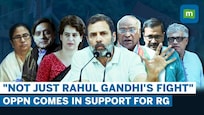 Rahul Gandhi disqualified: Opposition comes in support of RG after disqualification as Lok Sabha MP
