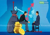 High cash generating companies | Mutual funds love to hold these midcap and smallcap stocks