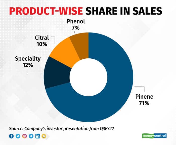 Productwise share in sales