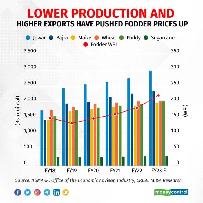 Pushan Sharma - dairy sector - Fodder (1)