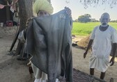 A Rajasthan village claims factory emissions are impacting health; factory has clean chit from pollution board