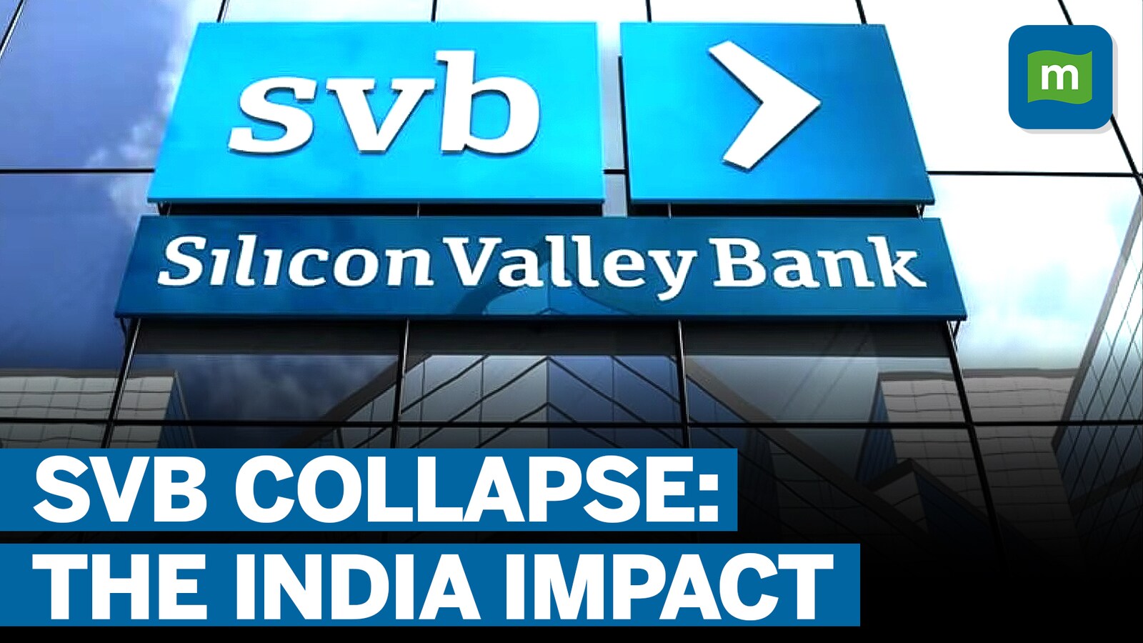 Are these companies really too big to fail? Lessons from the SVB Collapse