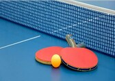 WTT Star Contender Goa: How Stupa, a sports analytics company, brought a World Table Tennis event to India