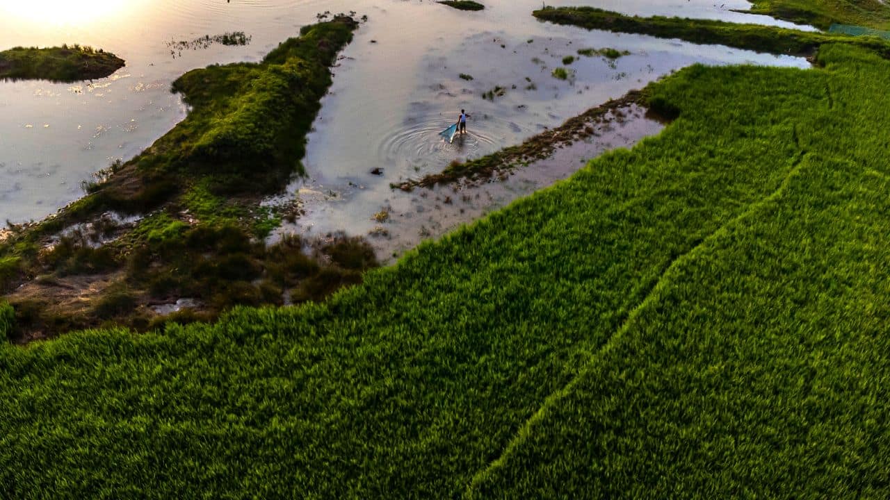 Around the world, activists of all ages are keeping the pressure on governments and companies to do more to protect the environment and combat climate change. (Image: AP)
