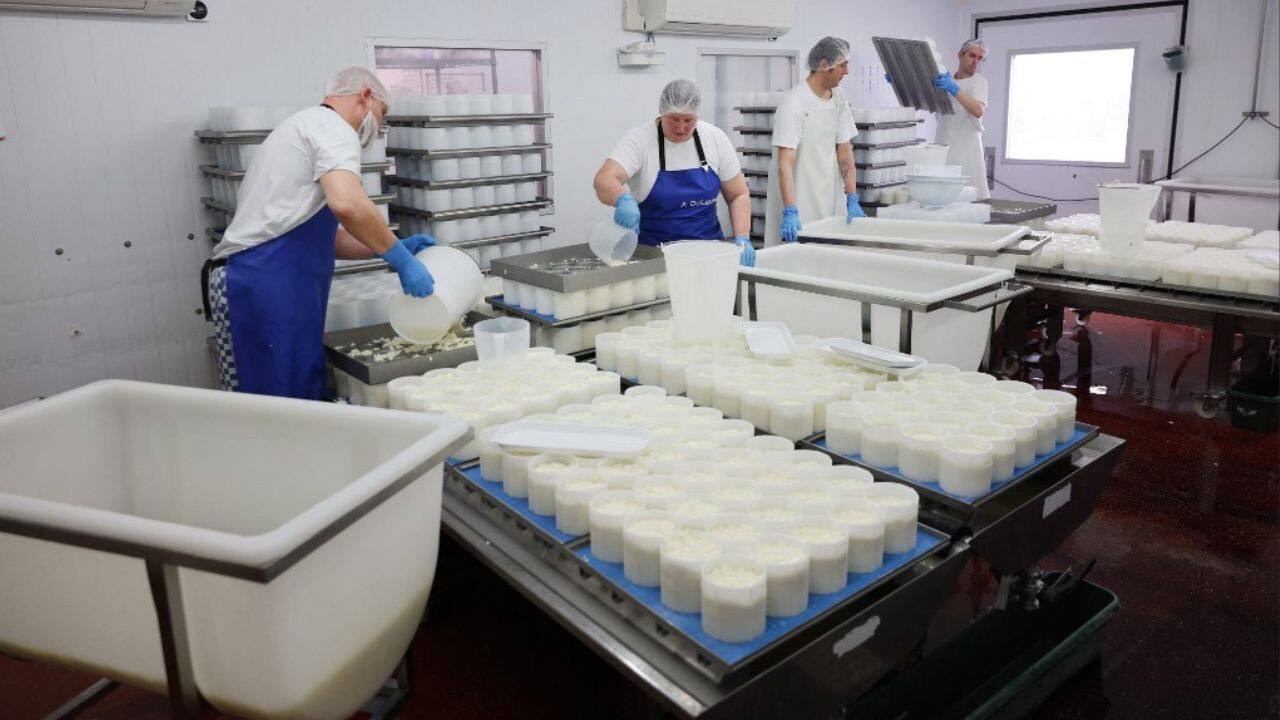 &quot;It's a very exciting time to be in the industry,&quot; said Bronwen Percival, technical manager at Neal's Yard Dairy, which has four shops in London selling almost exclusively British cheese. &quot;There are new people coming out all the time with a real entrepreneurial spirit,&quot; she added. &quot;We sell mozzarella from Italy, but if somebody (British) arrives on the scene making a beautiful mozzarella, as good as the one we currently sell, we might decide to switch.&quot; (Image: AFP)