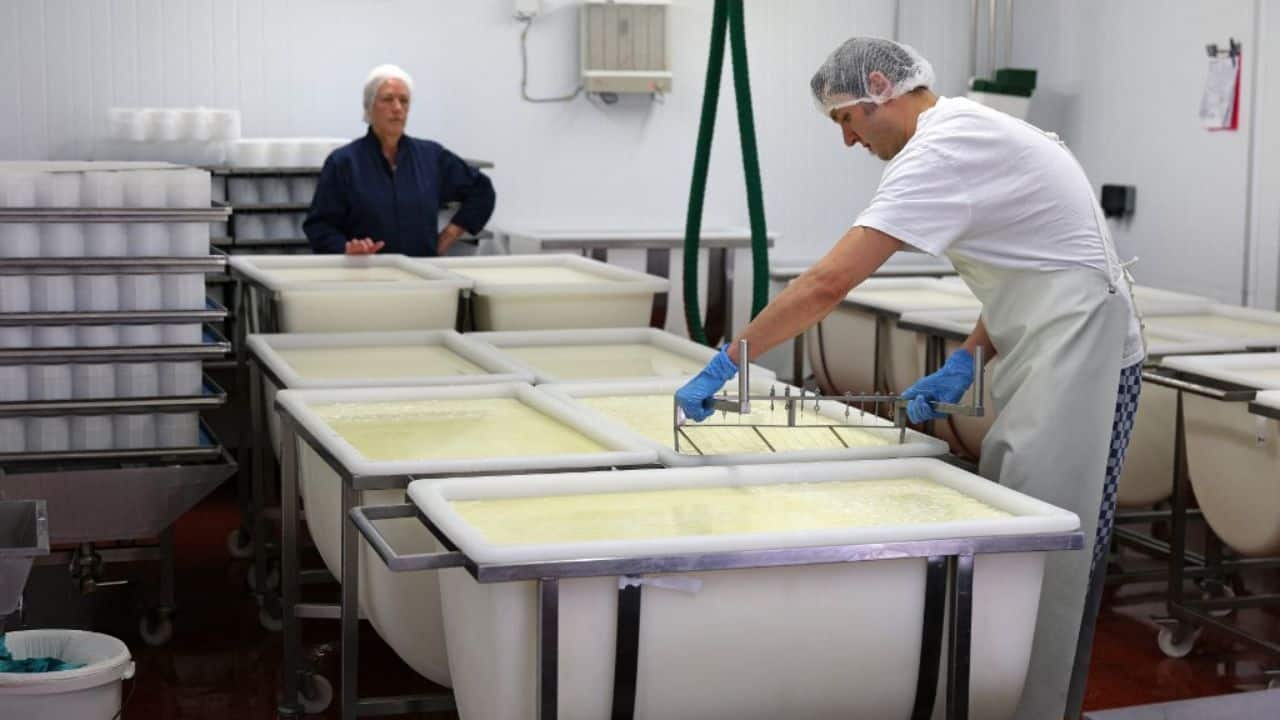 The 61-year-old got help from French experts to advise her on the manufacturing process. &quot;In this country we have Stilton and Cheddar. But we don't have the knowledge for soft cheese,&quot; Hedges explained. Her success has inspired other Brits. (Image: AFP)