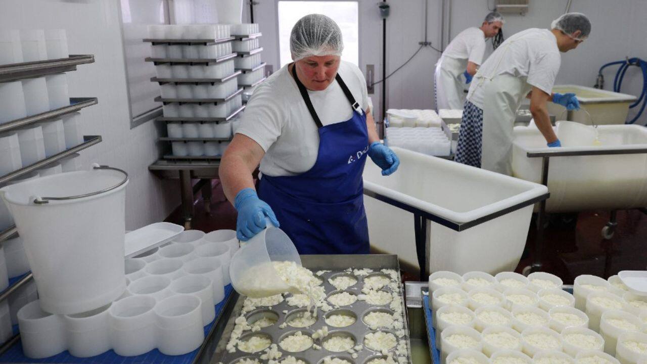Hedges sells her Tunworth in Hong Kong, the United States, Belgium, the Netherlands and elsewhere. But she draws the line at trying to break into the home of Camembert. &quot;Do you think the French would buy British Camembert?&quot; she joked. (Image: AFP)