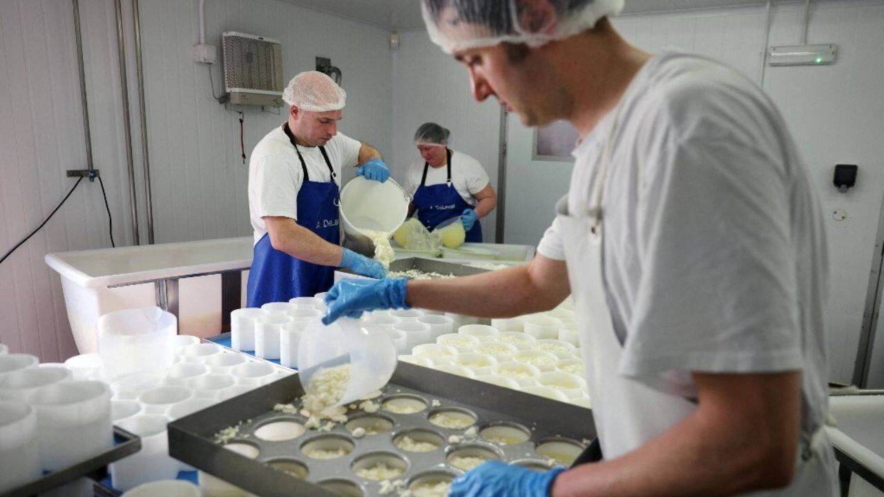 She is one of dozens of entrepreneurs who have gone into cheese-making across England, Scotland and Wales. As a result, the country now produces a wider variety of soft cheeses alongside traditional British hard cheeses such as Stilton and Cheddar. (Image: AFP)
