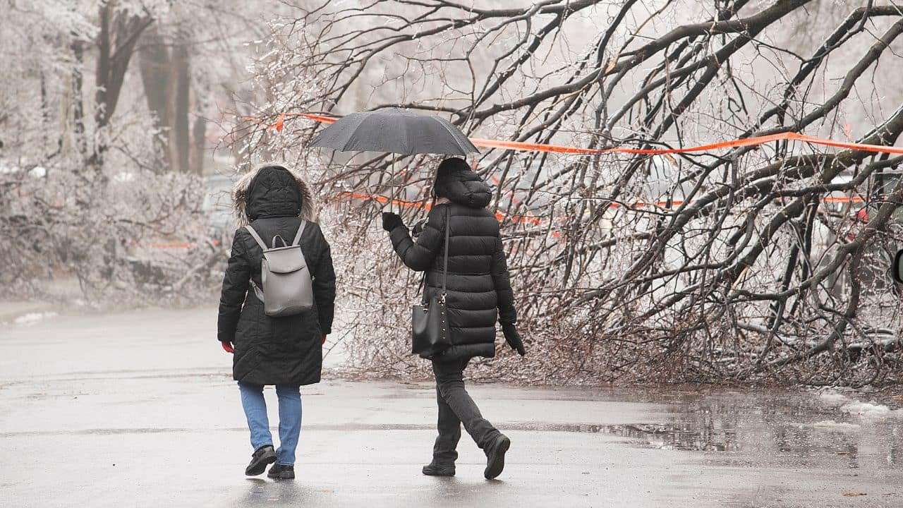 A few yards away, workers toiled with saws in hand to cut fallen trees blocking roads. &quot;It's going to take several weeks to clean up the whole city,&quot; said Samuel, a municipal employee who did not give his last name. (Image: AP)
