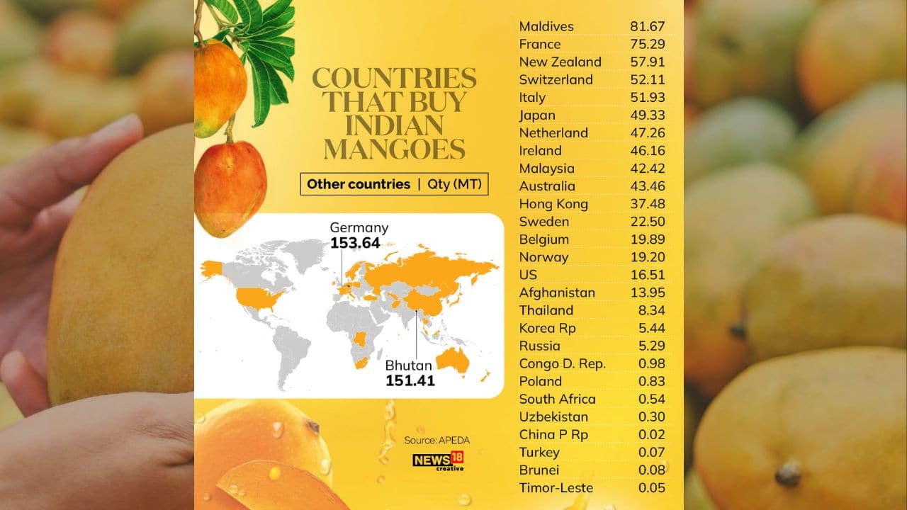 India’s major mango-producing states are Andhra Pradesh, Uttar Pradesh, Karnataka, Bihar, Gujarat and Tamil Nadu. Alphonso, Kesar, Totapuri and Banganpalli are the leading export varieties from India. 