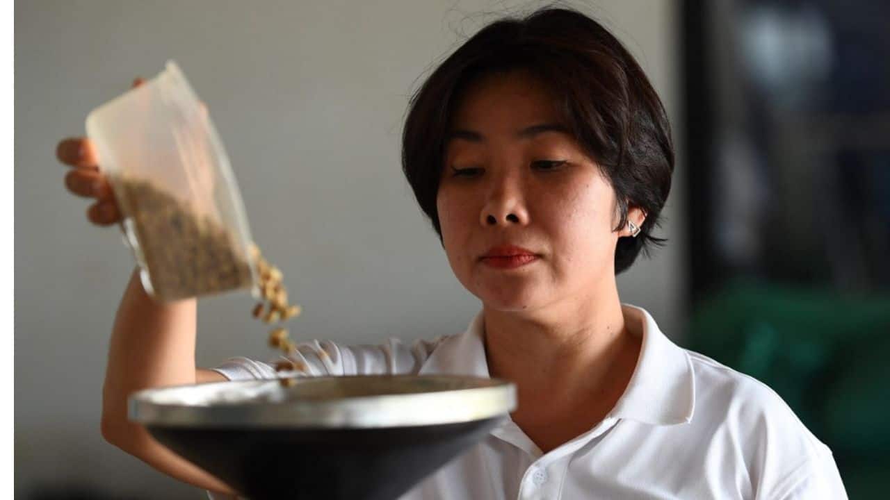 Still, outside the country, "Vietnam is regarded as the lowest-quality coffee there is", Fernandez of the Specialty Coffee Association said. Producers aiming for high quality will have "a harder time because of this perception", he added. But there are some positive signs. The trend forecasting company WGSN says a change in attitudes toward robusta has already begun. (Source: AFP)