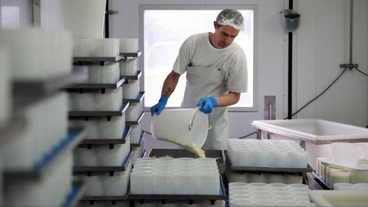 France, the &quot;country of a thousand cheeses&quot;, is often a source of inspiration. Nine employees work in Hedges's creamery near Basingstoke in England's southern Hampshire region, making about 7,000 cheeses a week, and up to 12,000 during the Christmas season. (Image: AFP)