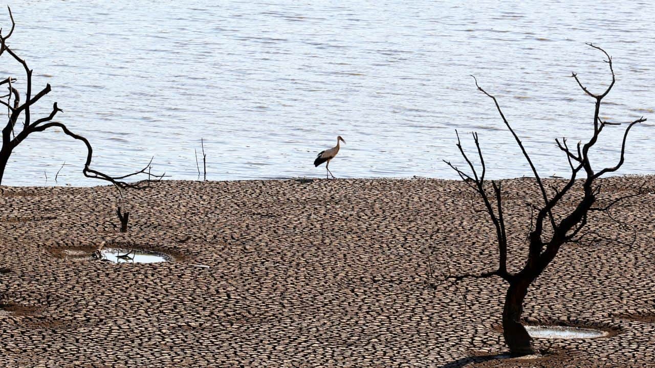 The Guadalquivir Hydrographic Confederation certified earlier this month that water in the Sierra Boyera mountain range had been exhausted, the first time in 40 years that a reservoir in Cordoba has dried out. "We are being supplied with water through a cistern. It's a rather uncomfortable situation and, above all, precarious for the times in which we live," Alcaracejos Mayor Jose Luis Cabrera said. (Image: Reuters) The Guadalquivir Hydrographic Confederation certified earlier this month that water in the Sierra Boyera mountain range had been exhausted, the first time in 40 years that a reservoir in Cordoba has dried out. "We are being supplied with water through a cistern. It's a rather uncomfortable situation and, above all, precarious for the times in which we live," Alcaracejos Mayor Jose Luis Cabrera said. (Image: Reuters)