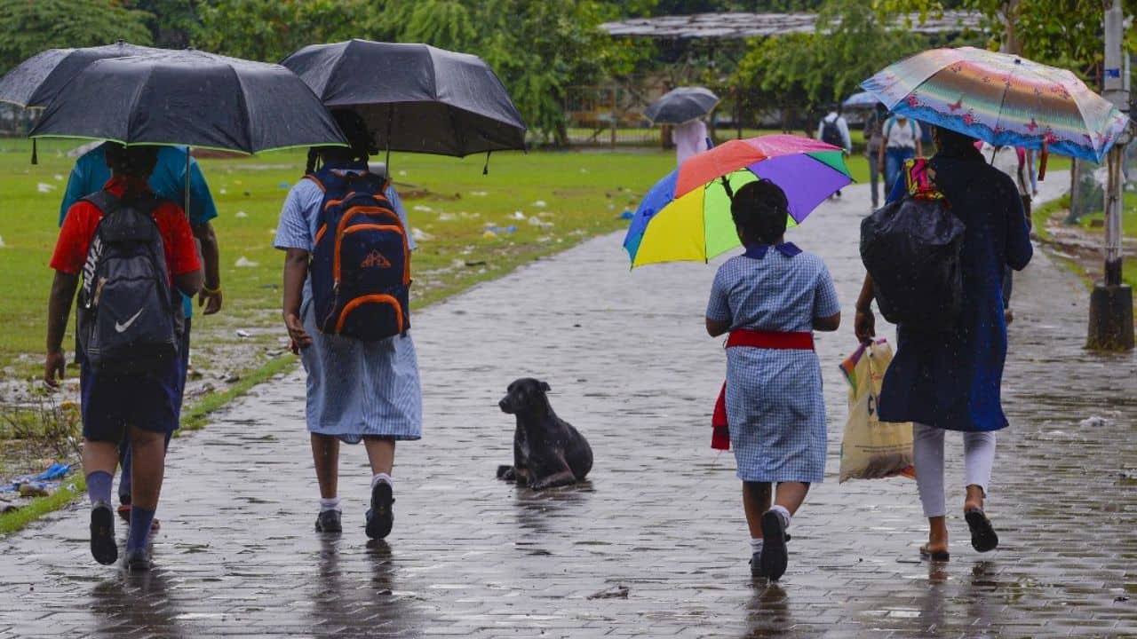 The climate models predict the development of positive Indian Ocean Dipole over the Indian Ocean and El Nino conditions over the equatorial Pacific region during the monsoon. During the southwest monsoon season, favourable IOD conditions will likely emerge. (Image: AFP)