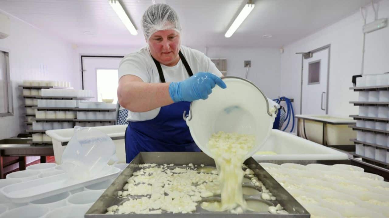 This has already happened with homegrown varieties of Brie and Camembert, as the UK dairy industry continues to adapt from the shock of deregulation in the 1990s. (Image: AFP)